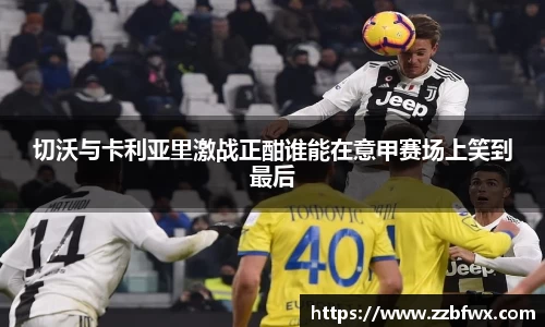  3377运动直播平台